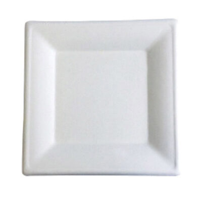 BetterEarth Sugarcane Square Plate 6 in BE-FSP6