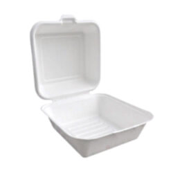 BetterEarth Sugarcane White Clamshell Hinged Container 6 in x 6 in BE-FC66
