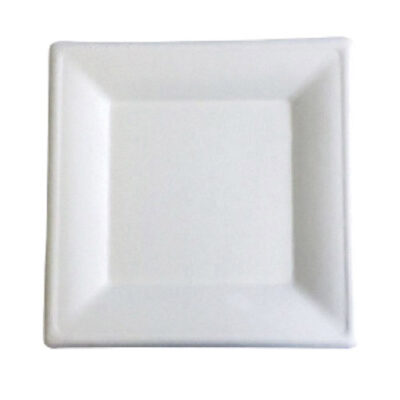 BetterEarth Sugarcane White Square Plate 10 in BE-FSP10