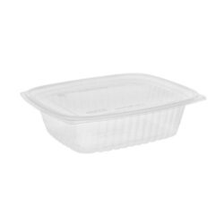 EarthChoice PLA Clear Deli Lid Container 24 oz 7.5 in x 6.5 in x 2 in YLI860240000