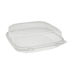 EarthChoice rPET Clear Clamshell Hinged Container 9 in x 9 in x 3 in 0CASH11100000
