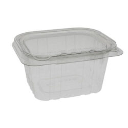 EarthChoice rPET Clear Clamshell Hinged Tamper Evident Deli Container 16 oz 5 in x 4 in TEHL5X416