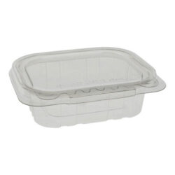 EarthChoice rPET Clear Clamshell Hinged Tamper Evident Deli Container 8 oz 5 in x 4 in TEHL5X408