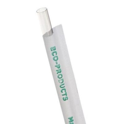 Eco Products PLA Clear Jumbo Straw Wrapped 9.5 in EP-ST990
