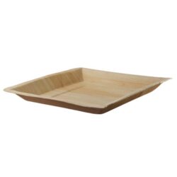 PacknWood Palm Leaf Square Plate 10 in 210BBA2424