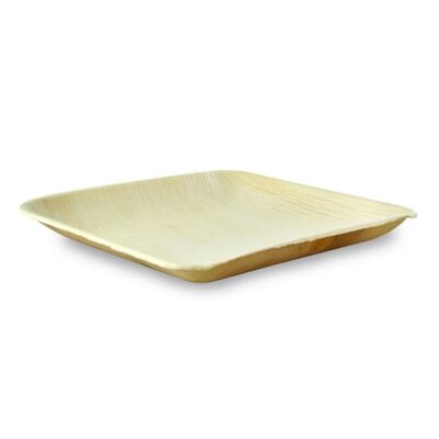 PacknWood Palm Leaf Square Round Corner Plate 8 in 210BBA2020