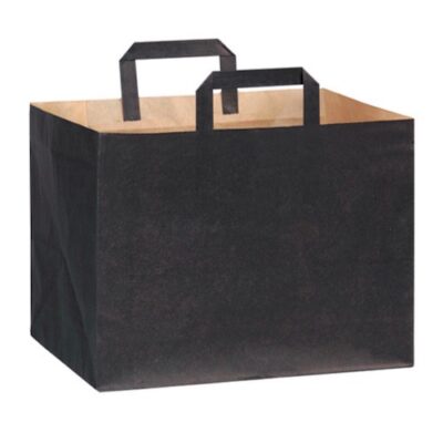 PacknWood Paper Black Bag Handle 12.5 in x 8.7 in x 9.65 in 210CABTRN