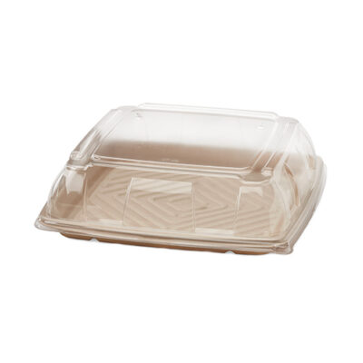 Sabert rPET Clear Dome Lid for Square Platter 10.7 in 52910F025