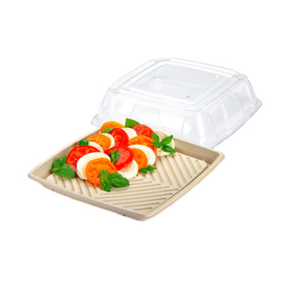 Sabert rPET Clear Dome Lid for Square Platter 14 in 52914F025
